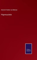 Pilgermuscheln