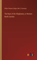 Heart of the Alleghanies; or Western North Carolina