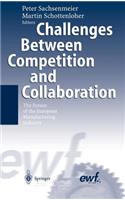Challenges Between Competition and Collaboration: The Future of the European Manufacturing Industry(English)