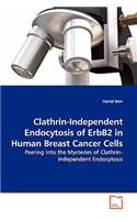 Clathrin-Independent Endocytosis of ErbB2 in Human Breast Cancer Cells
