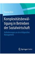 Komplexitätsbewältigung in Betrieben der Sozialwirtschaft: Anforderungen an ein erfolgreiches Management(German)