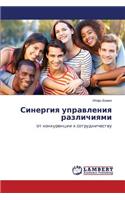 Sinergiya upravleniya razlichiyami
