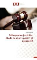 Délinquance Juvénile