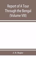 Report of A Tour Through the Bengal Provinces of Patna, Gaya, Mongir, and Bhagalpur; The Santal Parganas, Manbhum, Singhbhum, and Birbhum; Bankura, Raniganj, Bardwan, and Hughli in 1872-73 (Volume VIII)