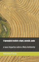 O Agronegócio brasileiro: origem, ascensão, queda: e seus impactos sobre o Meio Ambiente