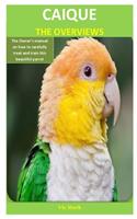 Caique The Overviews