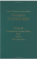 Photosynthesis and Nitrogen Fixation