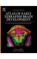 Atlas of Early Zebrafish Brain Development