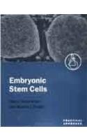 Embryonic Stem Cells