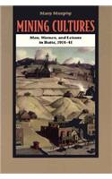 Mining Cultures