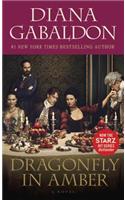 Dragonfly in Amber: (2 Outlander)