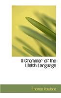 A Grammar of the Welsh Language: (English)