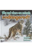Why and Where Are Animals Endangered?