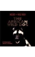 African Wild Dog