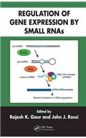 Regulation of Gene Expression by Small RNAs