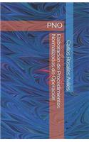 Elaboración de Procedimientos Normalizados de Operación