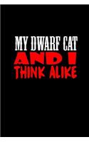 My dwarf cat and I think alike