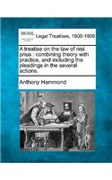 treatise on the law of nisi prius: combining theory with practice, and including the pleadings in the several actions.