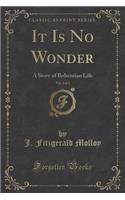 It Is No Wonder, Vol. 2 of 3: A Story of Bohemian Life (Classic Reprint)