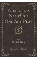 What's in a Name! an One Act Play (Classic Reprint)
