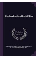 Feeding Purebred Draft Fillies