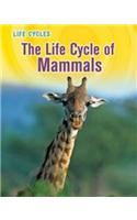 Life Cycle of Mammals