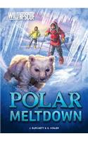 Polar Meltdown