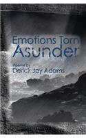Emotions Torn Asunder