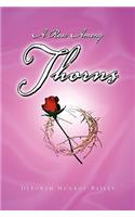 A Rose Among Thorns
