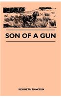 Son of a Gun