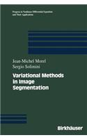 Variational Methods in Image Segmentation