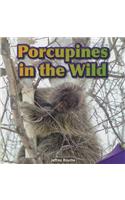 Porcupines in the Wild