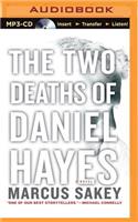 Two Deaths of Daniel Hayes