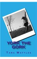 Gork the york