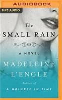 Small Rain