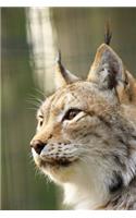 Gorgeous Lynx in Profile Wildcat Journal: 150 Page Lined Notebook/Diary