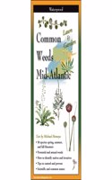 Common Weeds of the Mid-Atlantic