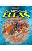 Frightening Fleas