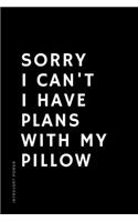 INTROVERT POWER Sorry I Can't I Have Plans with My Pillow