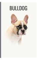 Bulldog