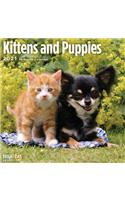 Cal 2021- Kittens and Puppies Wall