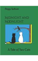Midnight and Moonlight