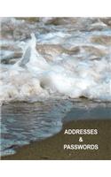 Low Vision Large Print Address and Password Record Book: Organizer for Visually Impaired 8.5" x 11" with Bold Lines 3/4" Apart Ocean Beach Cover