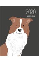 2020 Border Collie: Dated Weekly Planner With To Do Notes & Dog Quotes - Border Collie Brown White(10 Awesome Calendar Planners for Dog Owners Dark)