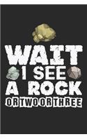 Wait I See A Rock