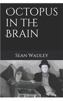 Octopus in the Brain
