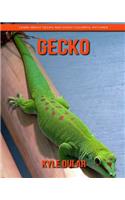 Gecko! Learn about Gecko and Enjoy Colorful Pictures