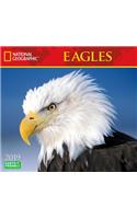 National Geographic Eagles 2019 Calendar