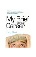 My Brief Career