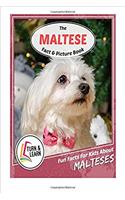 The Maltese Fact and Picture Book: Fun Facts for Kids About Malteses (Turn and Learn)